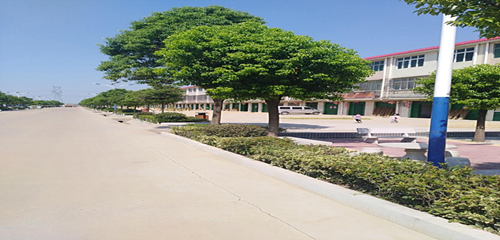 1537236168714440.png 5_副本.png