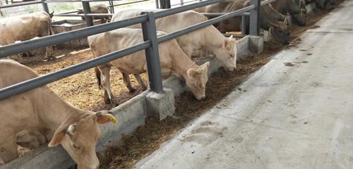 1537235905663502.png 2_副本.png