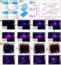 说明: crf313171-fig-0012-m 刘亚楠 说明: crf313171-fig-0012-m 刘亚楠