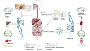 说明: 85e786bf34b3b3f89b5dbef20be8b6e3